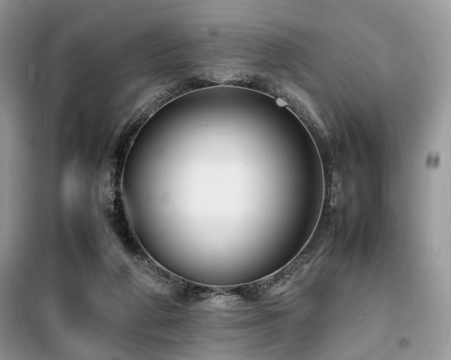 X0000099410210200805091227