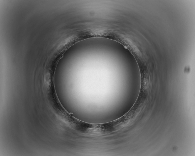 X0000099410211200805091227