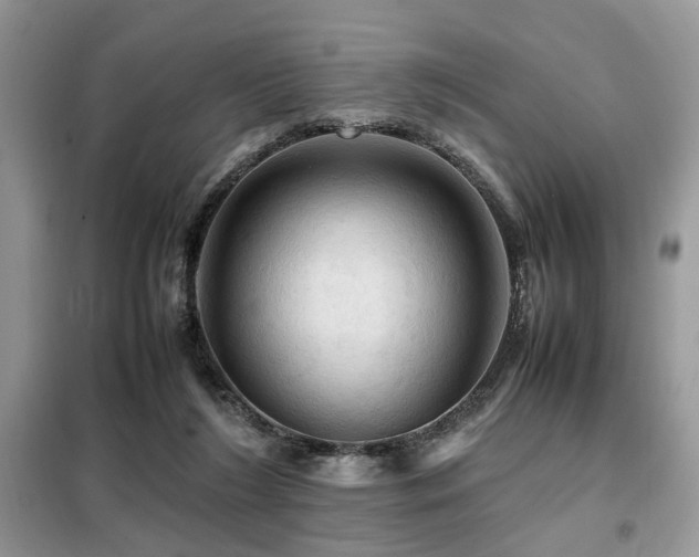 X0000099410212200805091227