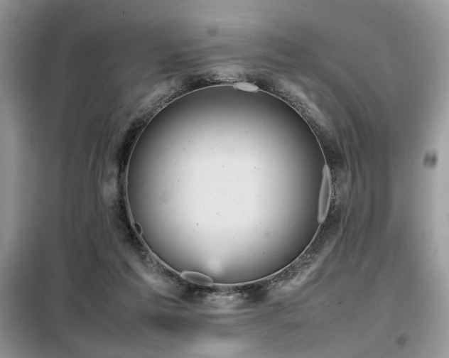 X0000099410213200805091227