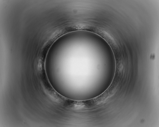 X0000099410214200805091227