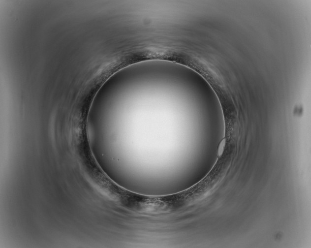 X0000099410215200805091227
