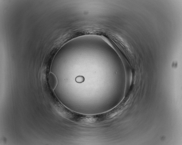 X0000099410217200805091227