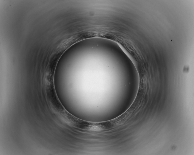 X0000099410218200805091227