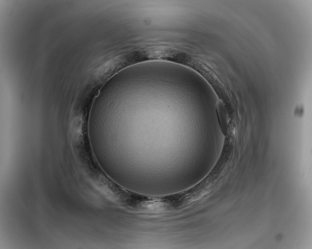 X0000099410219200805091227