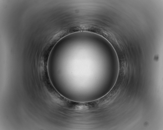 X0000099410220200805091227