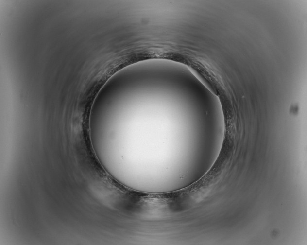 X0000099410221200805091227