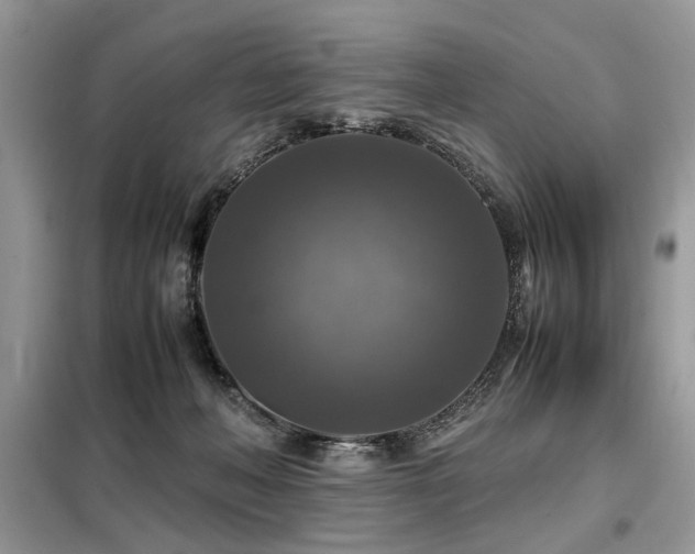 X0000099410222200805091227