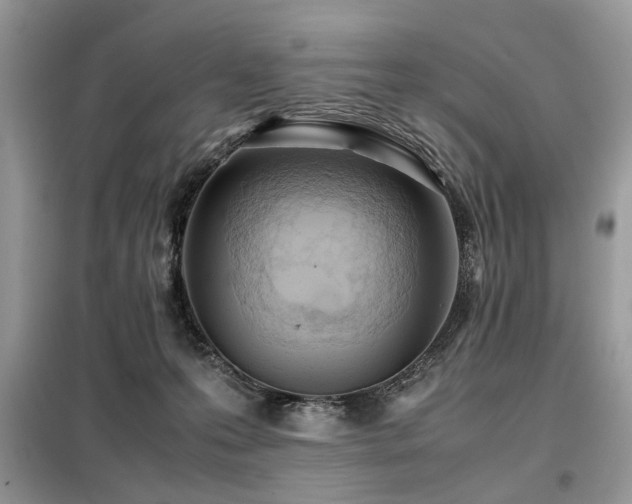 X0000099410223200805091227