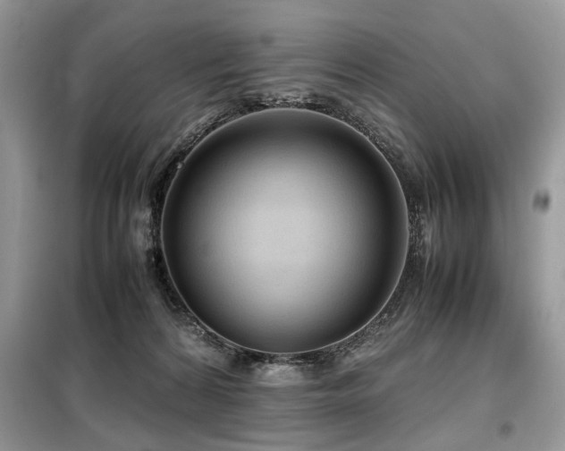 X0000099410224200805091227