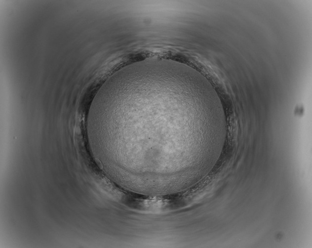 X0000099410225200805091227