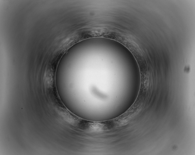 X0000099410226200805091227