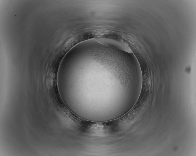 X0000099410227200805091227