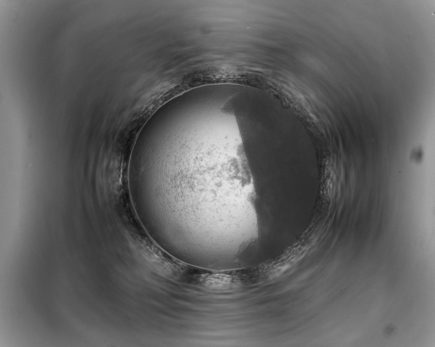 X0000099410230200805091227