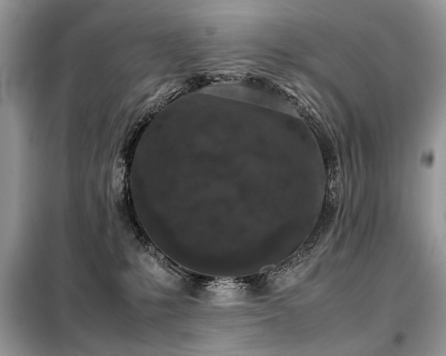 X0000099410231200805091227