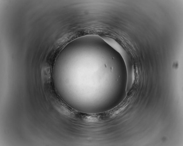 X0000099410232200805091227
