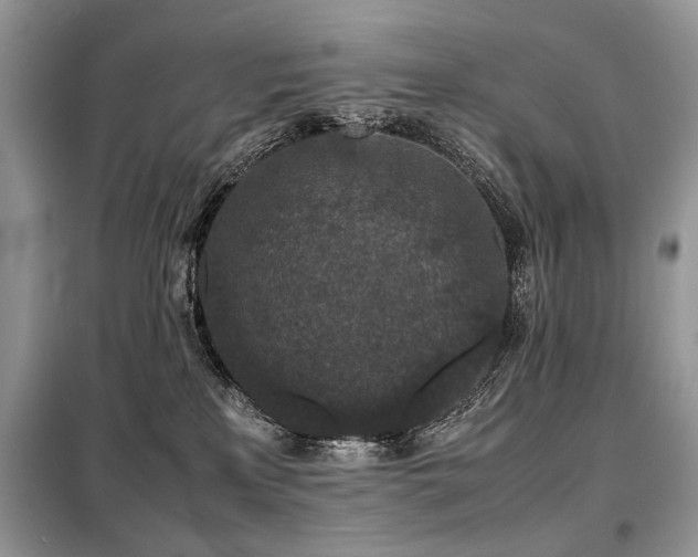X0000099410233200805091227