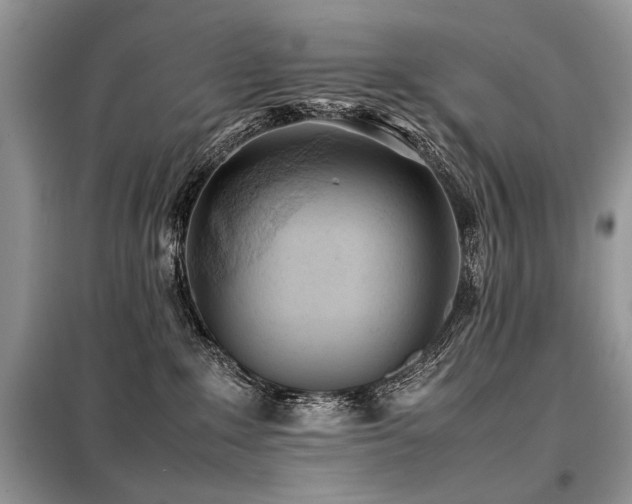 X0000099410235200805091227