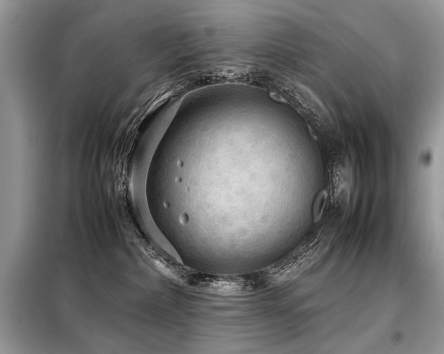 X0000099410236200805091227