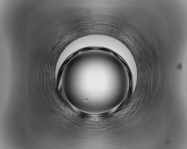 X0000099410237200805091227