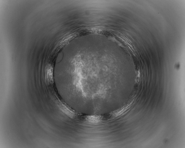 X0000099410238200805091227