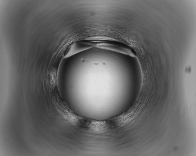 X0000099410240200805091227