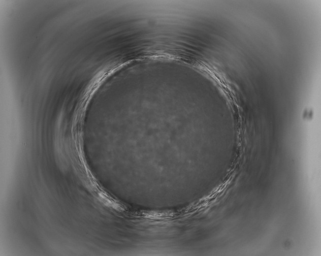 X0000099410241200805091226
