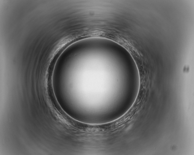 X0000099410242200805091226