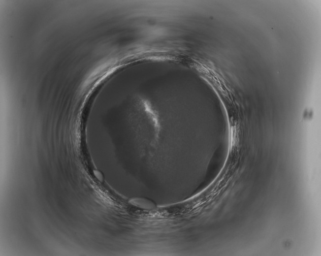 X0000099410243200805091226