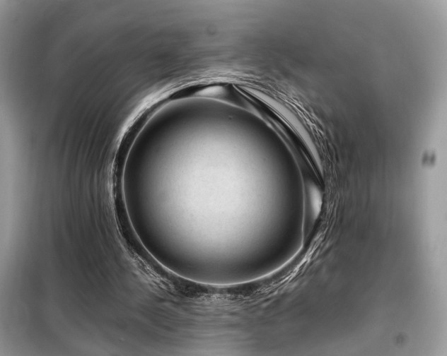 X0000099410244200805091226