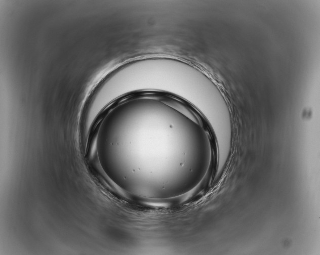 X0000099410248200805091226