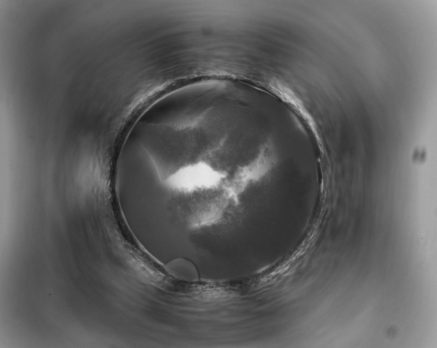 X0000099410249200805091226