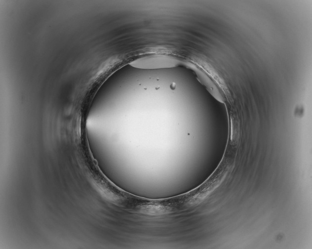 X0000099410253200805091226