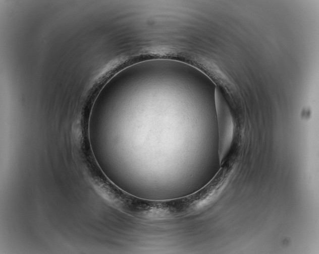 X0000099410256200805091226