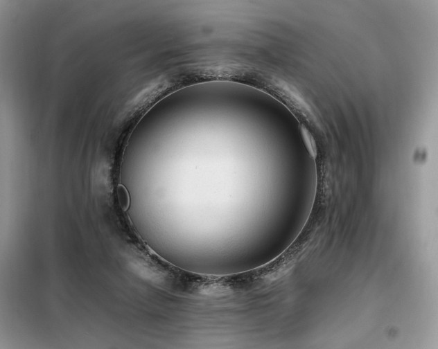 X0000099410258200805091226