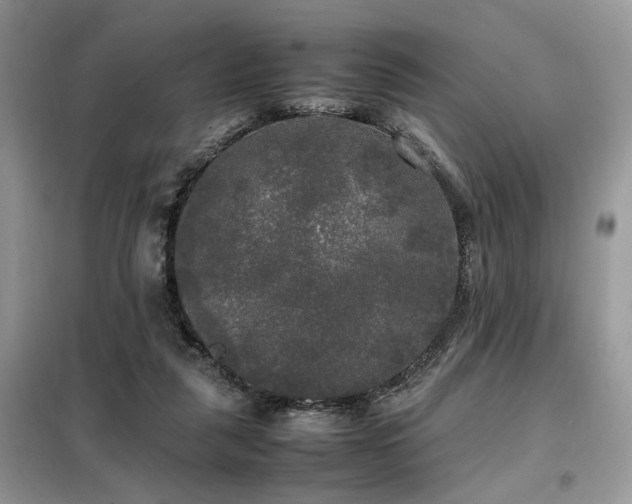 X0000099410259200805091226