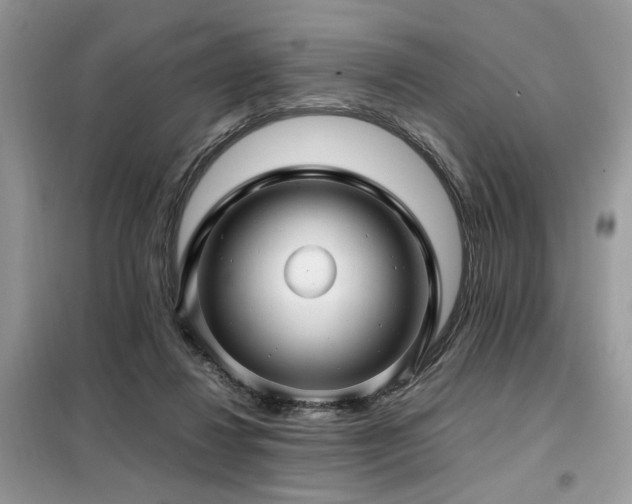 X0000099410260200805091226
