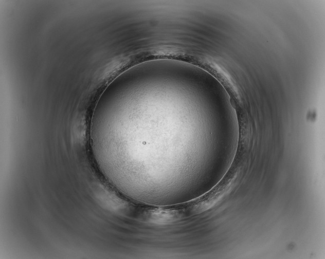 X0000099410261200805091226