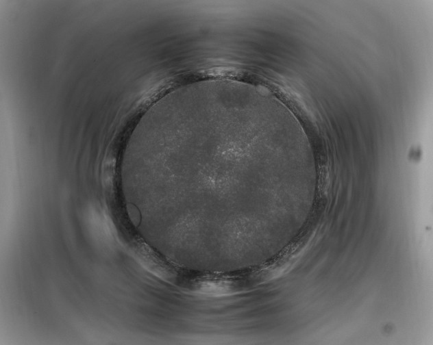 X0000099410263200805091226