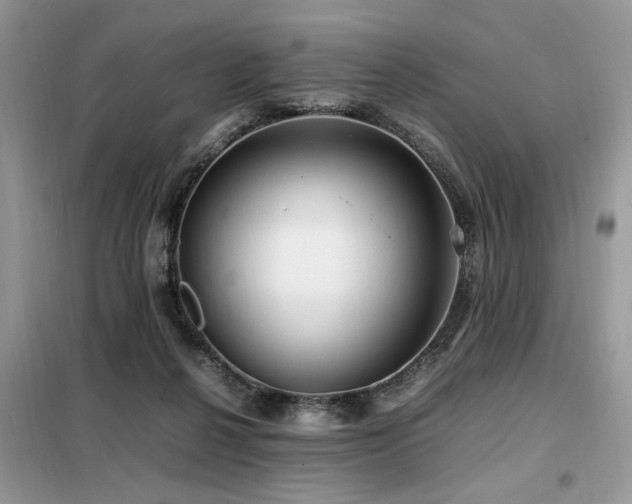 X0000099410264200805091226