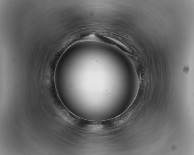 X0000099410266200805091226