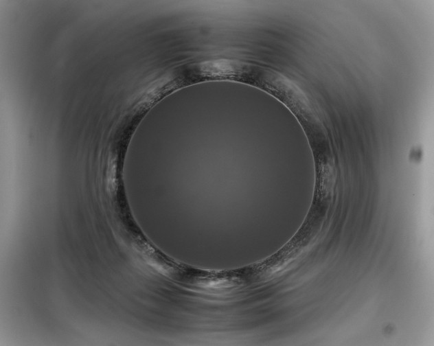 X0000099410267200805091226