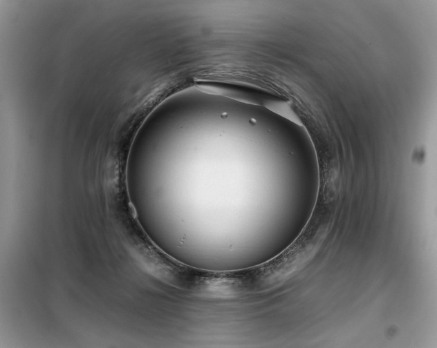 X0000099410268200805091226