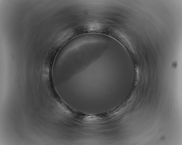 X0000099410269200805091226