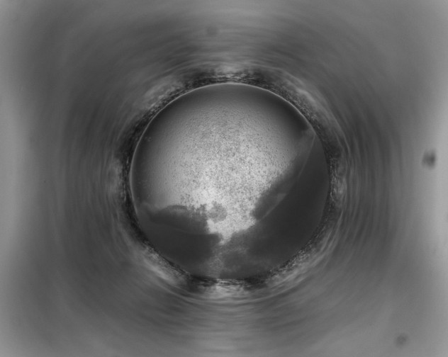 X0000099410270200805091227