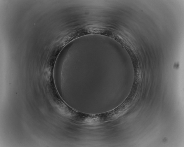 X0000099410271200805091227