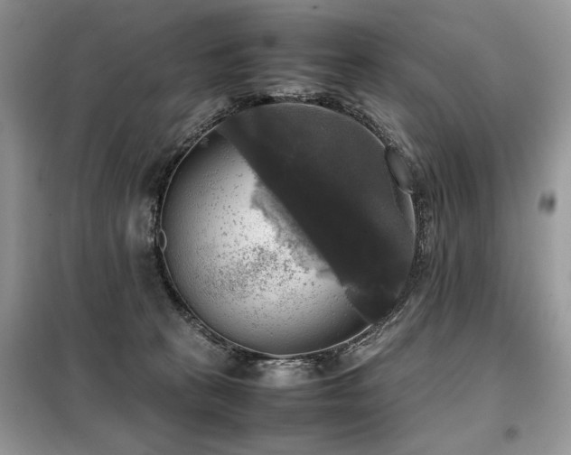 X0000099410273200805091227