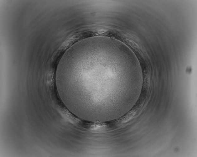 X0000099410274200805091227