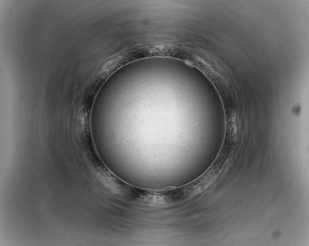 X0000099410276200805091227