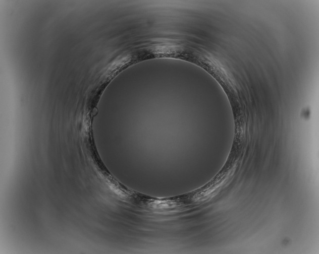 X0000099410277200805091227